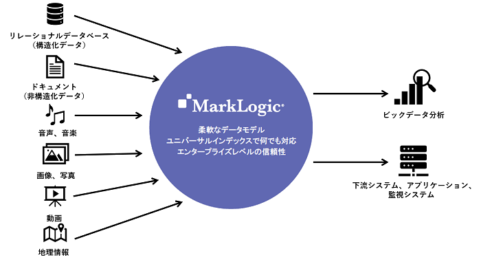 MarkLogic_データハブ